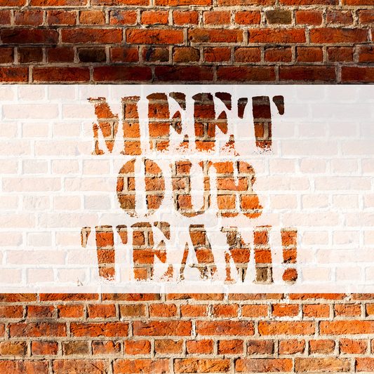 meet the team meet the team